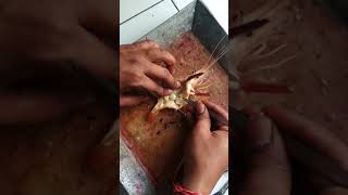 Dissection of Prawns [upl. by Qerat]