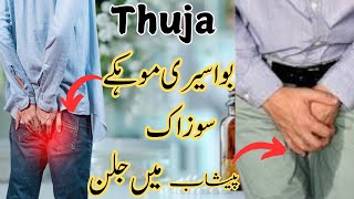 Thuja  Hemorrhoids  Gonorrhea  Peshab krty jalan  Bawaseery Mohkey  Urdu amp Hindi By Dr Tuqeer [upl. by Niveek509]