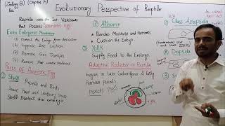 Evolutionary Perspective of Reptile in Urdu and Hindi [upl. by Prader]