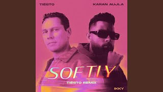 Softly Tiësto Remix [upl. by Aiyotal975]