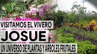 Como son los Viveros en El Salvador  Youtubero Salvadoreño [upl. by Annez816]