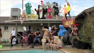 Harlem Shake Full Song With Video HQ [upl. by Finbar322]