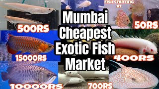 Kurla Fish Market Latest Video  Monster Fish Market  Mumbais Cheapest Exotic Fish Market 2024 [upl. by Etnelav811]