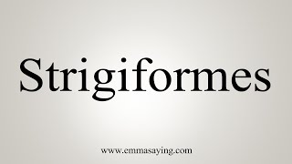 How To Say Strigiformes [upl. by Ahsikyw]