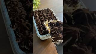 Tiramisu without eggs or mascarpone Creamy layers and rich coffee flavors in every bite [upl. by Andy589]