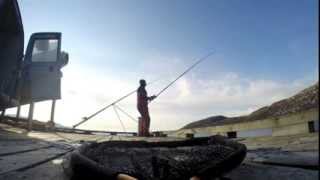 Shore Fishing Norway Skarnsundet [upl. by Ahscrop845]