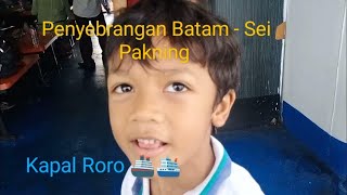 Penyebrangan dengan Roro dari Pelabuhan Telaga Punggur Batam ke Pelabuhan Selari Sei Pakning Riau [upl. by Aicilak]