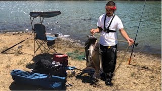 Killing them Big catfish Good day fishing Los Vaqueros [upl. by Nyltak]