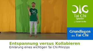 Entspannung vs Kollabieren  Tai Chi Prinzip  Tai Chi spielen nach Daniel Grolle [upl. by Lourdes963]