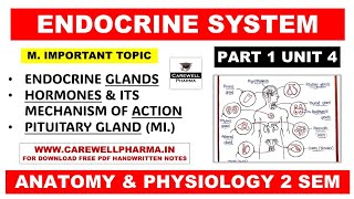 Unit 4 Endocrine System  Pituitary Gland  Hormone  Mechanism of Hormone Action  Part 1  Hap 2 [upl. by Meryl]