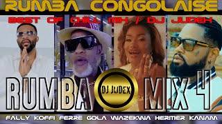 RUMBA BEST OF 20232024  DJ JUDEX ft FallyIpupa  KoffiOlomide  FerreNgola HéritierFabregas [upl. by Haman]