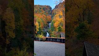 📍Giessbach Switzerland 🇨🇭schweiz switzerland giessbachfälle autumn swissnature [upl. by Gorman]