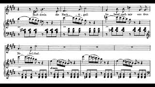 Ganymed F Schubert Score Animation [upl. by Eirrehc]