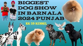 IS THIS the BIGGEST Dog Show in Punjab 2024  Biggest Dog Show in Barnala 2024 Punjab [upl. by Wooster370]