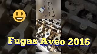 fuga de anticongelante y fuga de aceite Aveo 2016 [upl. by Anitsrik]