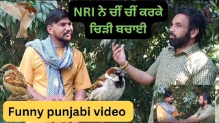 NRI ਵਾਤਾਵਰਨ ਪ੍ਰੇਮੀ ਨੇ ਚੀਂ ਚੀਂ ਕਰਕੇ ਚਿੜੀ ਬਚਾਈ 🐦😲  New Punjabi Comedy [upl. by Aslam]