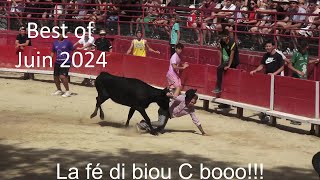 Best of moment  La fé di biou C booo  Juin 2024 [upl. by Jeb411]