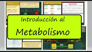 METABOLISMO Anabolismo y Catabolismo Enzimas Autótrofos y Heterótrofos Biología Bachillerato [upl. by Kip202]