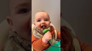 👶🏻🫐 babyledfeeding baby developmentalmilestones infant shorts short youtubeshorts cute [upl. by Kristan158]