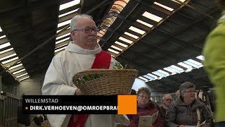 Kerkdienst op Palmzondag is in Willemstad in een koeienstal [upl. by Esadnac]