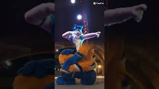 Fluke and Tirox edit  Furry FurryFandom FlukeTheHusky TiroxTheTigerFox [upl. by Nayd]