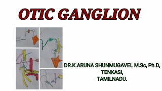 Otic ganglion  Location  Roots  Development  Clinical Anatomy  Animated video [upl. by Gerti]