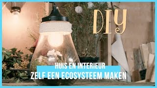 DIY  Hoe maak je zelf een ecosysteem  BinnensteBuiten [upl. by Latreshia949]