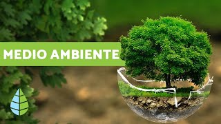 ¿QUÉ ES EL MEDIO AMBIENTE  Definición y resumen [upl. by Haerb]