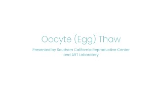 Oocyte Egg Thaw [upl. by Ecirtak]