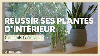 Réussir lentretien des plantes dintérieur  Truffaut [upl. by Andrea287]