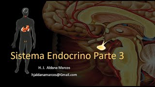 Glándulas endocrinas Parte 3 de 7 Hipófisis o Pituitaria Hernán Aldana Marcos [upl. by Frisse]