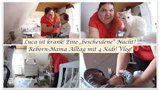 Luca ist Krank  Eine quotbescheidenequot Nacht  Vlog Reborn Baby Deutsch  Little Reborn Nursery [upl. by Wyler960]