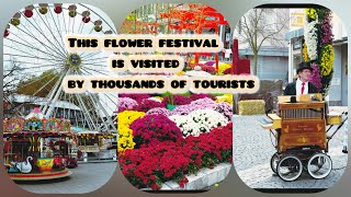 Germanys most beautiful flower festival  Lahr Chrysanthemum Festival [upl. by Lundeen]