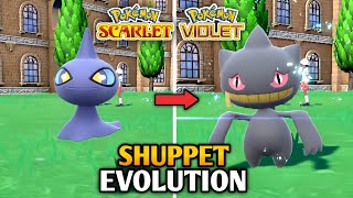 How To Evolve Shuppet Into Banette In Pokemon Scarlet And Violet  Paldea Pokedex [upl. by Brandyn217]