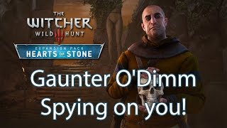 Witcher 3 Gaunter ODimm detail you probably missed while playing Hearts of Stone [upl. by Leupold]