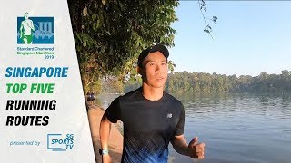 Singapore Top 5 Running Routes part 1 MacRitchie Reservoir [upl. by Oelc63]