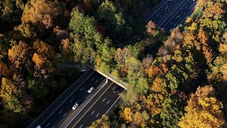 Did you know there are “wildlife bridges” that cross a major NJ interstate [upl. by Doley]