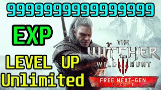 LEVEL UP Unlimited The Witcher 3 Wild Hunt Level Up Fast 250 EXP FAST NEW 2023  2024 [upl. by Jemmy]