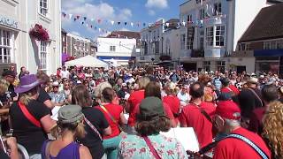 Southampton Ukulele Jam  One Day Like This  Beggars Fair 2018 [upl. by Kirsteni283]