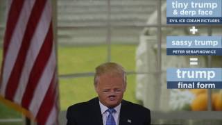 Tiny Trump  Sassy Trump  Derp  Trump Final Form [upl. by Araik]