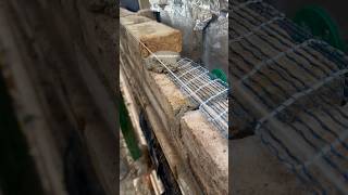 Avoiding Brick cracks masonrywork reinforced construction [upl. by Eadahs206]