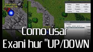 Como usar Exani Hur quotUP DOWN com Elfbot [upl. by Aday]