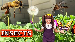 Insects for Kids  Soso SHRINKS Herself to Learn About Insects [upl. by Eimat57]