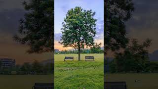 Beautiful Sunset In Islamabad Park Tree With Benches travelpakistanvlogs pakistan travel tree [upl. by Halladba]