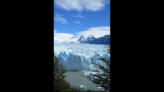 LIVE EL CALAFATE LAGO ARGENTINO PATAGONIA VIVO [upl. by Herriott]