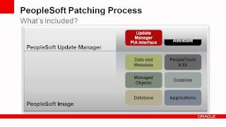 PeopleSoft Update Manager [upl. by Adneram358]