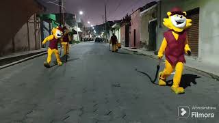 Carnaval Papalotla 2024  Recorrido  Don Gatos  luchadores [upl. by Willtrude]