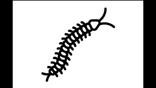 How To Draw a Millipede For Kids  Easy Step by Step Drawing Techniques [upl. by Miller]