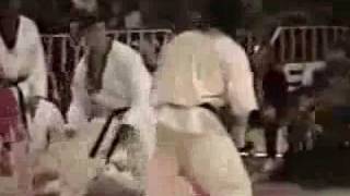 Tae KwonDo WTF Vs Kyokushin Karate 1 [upl. by Llemrej]