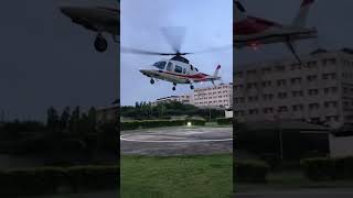 🚁 AgustaWestland AW 109 Startup  Takeoff [upl. by Jacinta470]